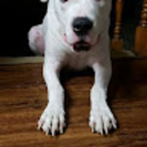 Meet your Posher, Anit